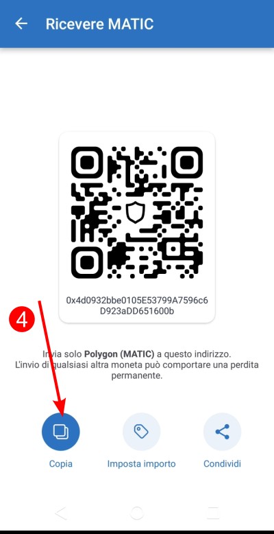 Fai tap sul pulsante "Copia" Fai tap sul pulsante "Copia"