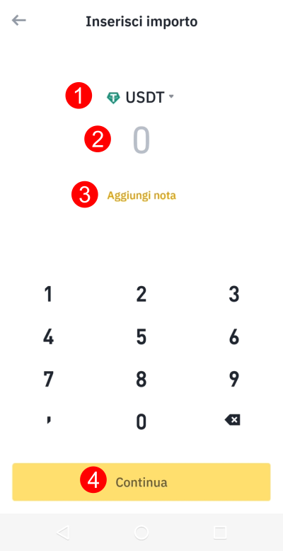 Schermata che permette di inserire i dati di pagamento Schermata che permette di inserire i dati di pagamento